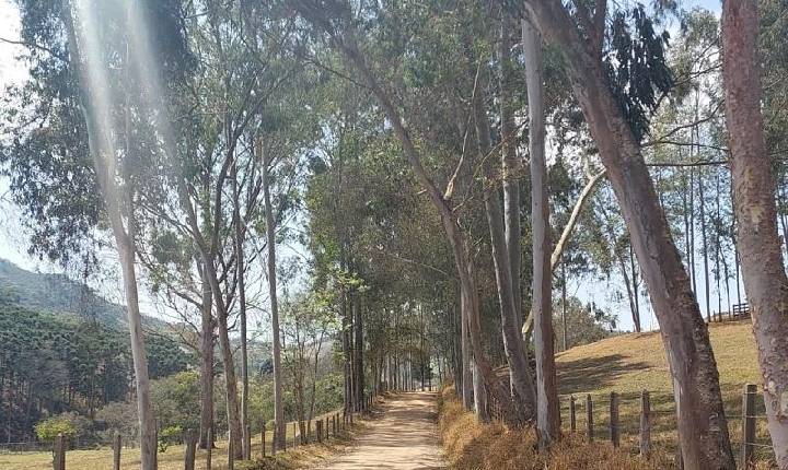 CAMINHO PARA UMA VIDA MAIS FELIZ E PRÓSPERA