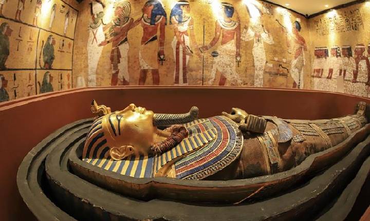 Curitiba reúne curiosidades em museus