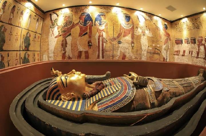 Curitiba reúne curiosidades em museus