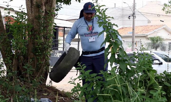 Dengue. Curitiba apresenta redução de casos