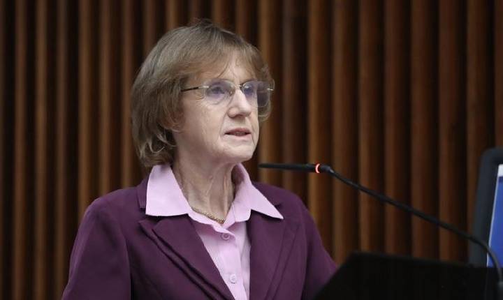 Luciana Rafagnin (PT) denuncia feminicídio e reforça combate à violência