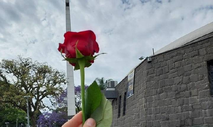 O Anjo - O encontro que acalmou minha alma no Santuário do Perpétuo Socorro