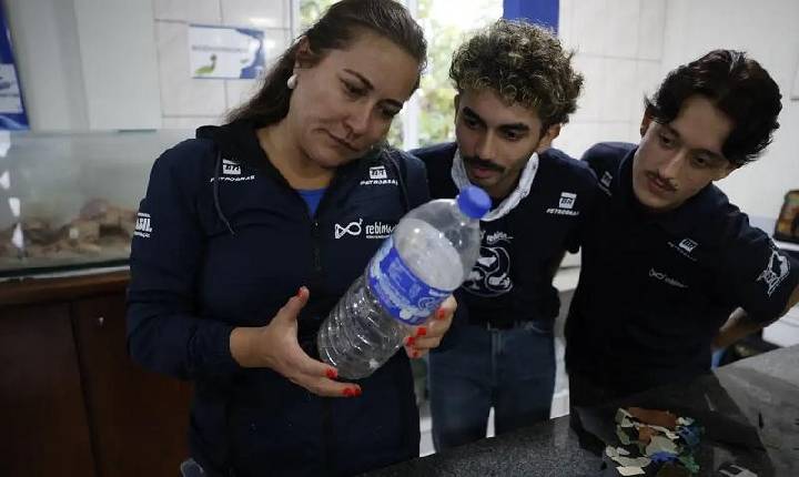 Peixes vendidos no litoral do Paraná têm microplástico