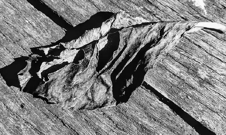 Santuário - Linha Divisória