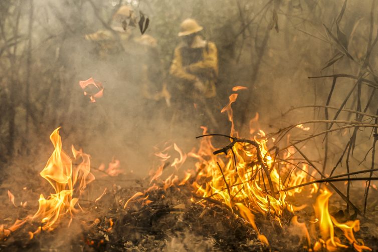 Governo destina R$ 137,6 milhões para combate a queimadas no Pantanal