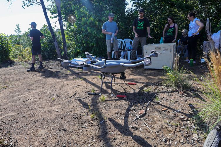 Tecnologias para mapear florestas tropicais favorecem transição verde
