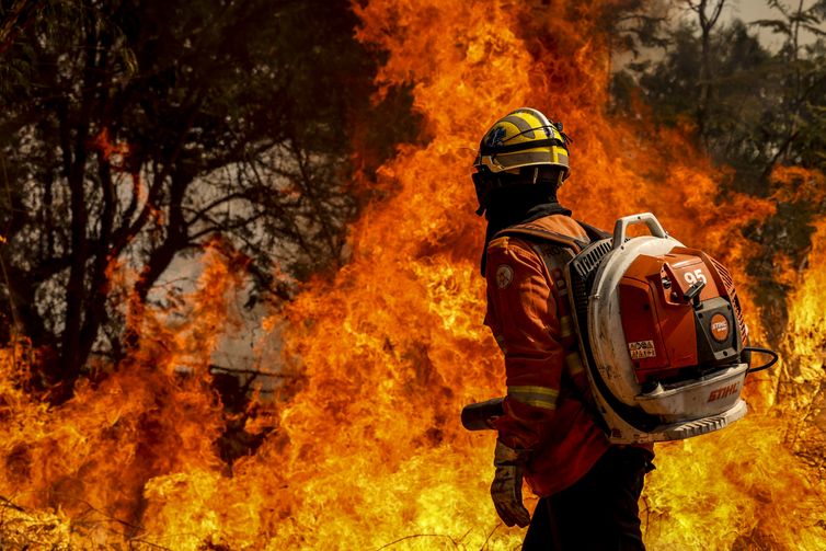 Bombeiros do DF apagam incêndio em área de nascente do Lago Paranoá