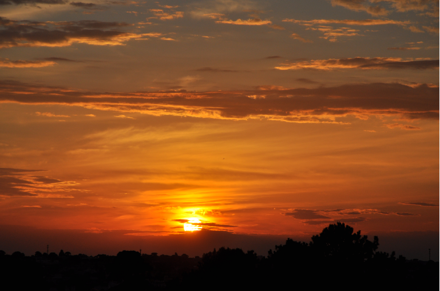 Curitiba, a cidade mais sustentável da América Latina