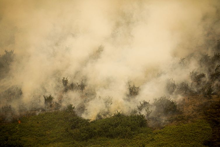 Defesa Civil de SP emite alerta para risco de incêndios florestais