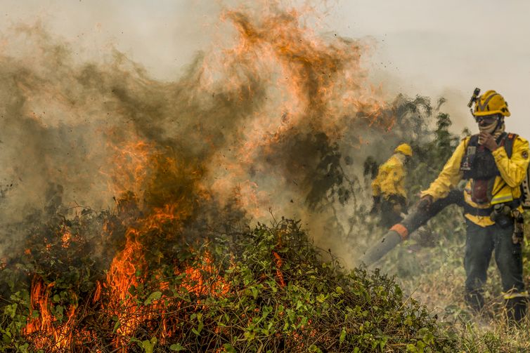 Fogo já consumiu 1,3 milhão de hectares e volta a aumentar no Pantanal