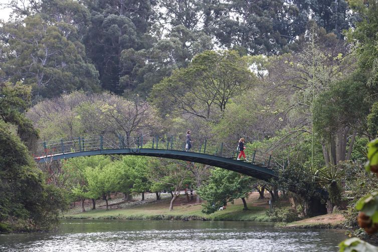 Hoje é Dia: Ibirapuera, Getúlio e Leminski são destaques da semana