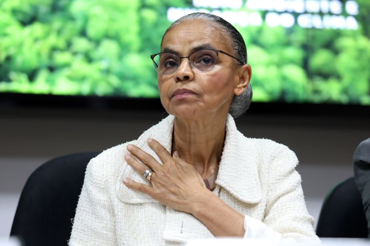 Ministra reforça participação da sociedade no Plano Clima 