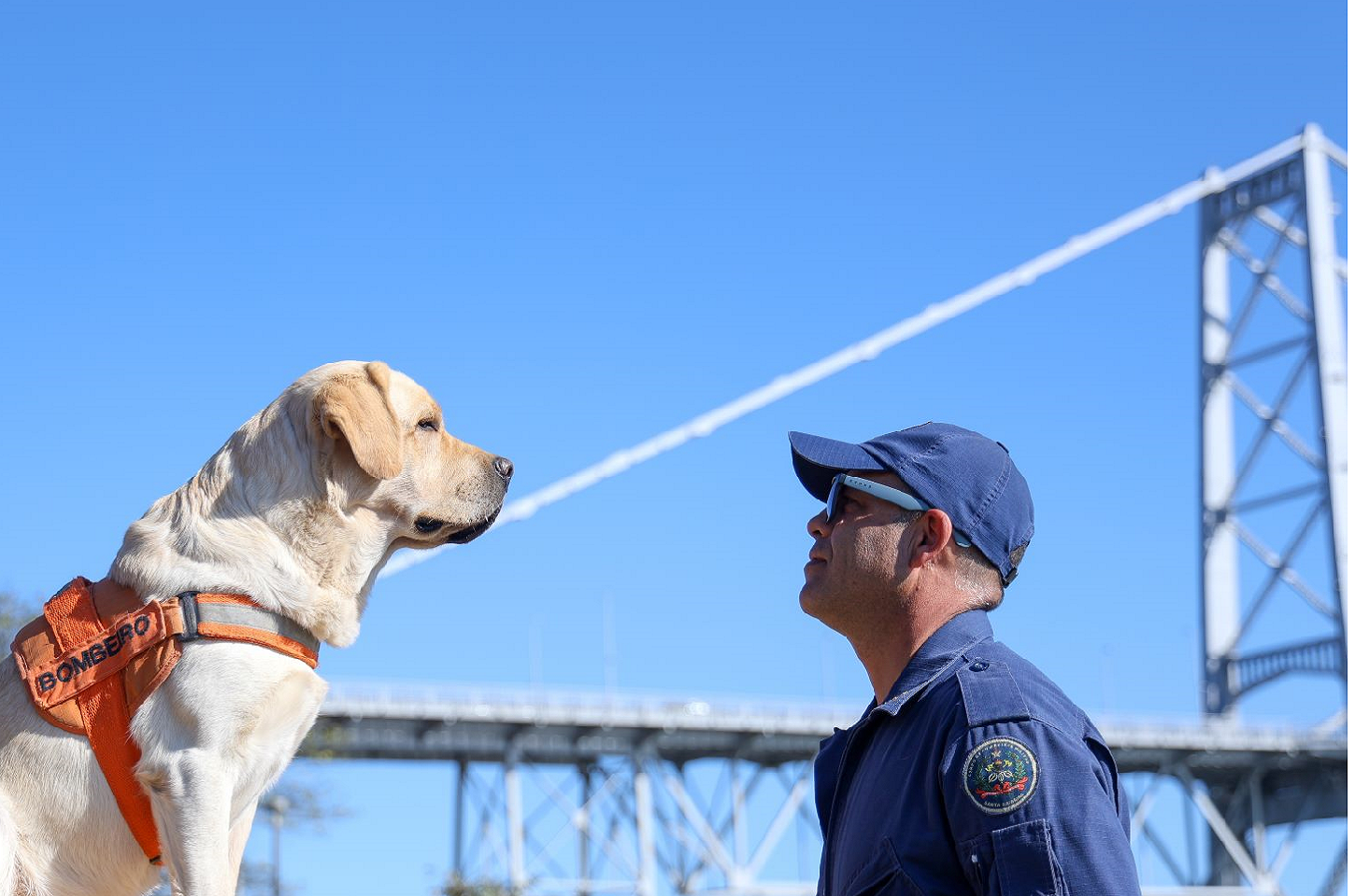 Referência nacional em busca e salvamento, CBMSC investe em treinamento conjunto com cães