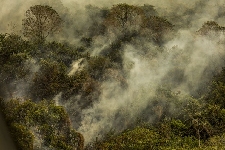 Rondônia declara situação de emergência por incêndios florestais