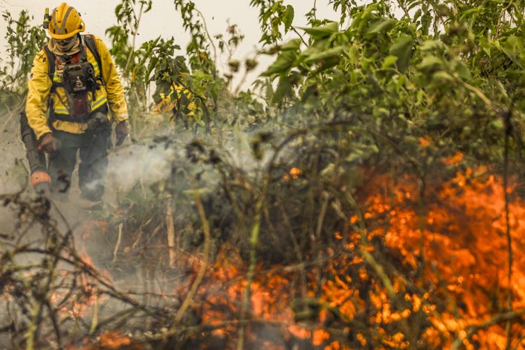 Brasil já registrou mais de 154 mil focos de calor este ano 
