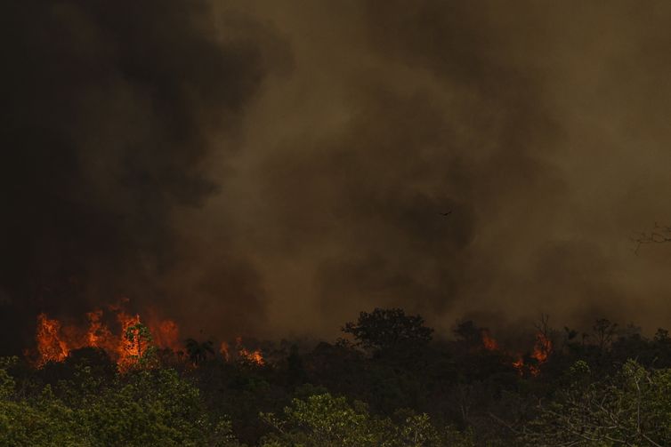 Chuva ajuda a apagar incêndio no Parque da Serra dos Órgãos, no Rio