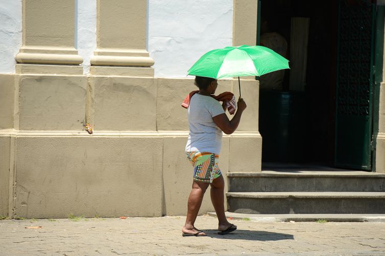 Defesa Civil renova alerta de risco elevado para incêndios em SP