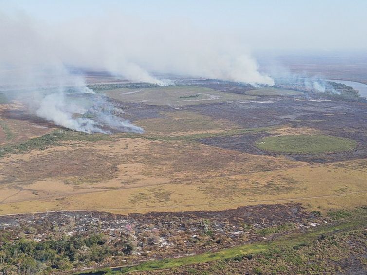 Emissão de gases por incêndios é recorde em dois estados