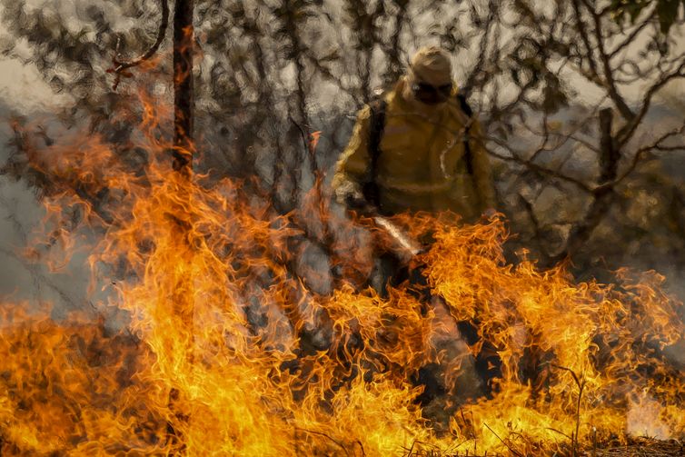 Entenda as linhas de investigação dos incêndios florestais no país