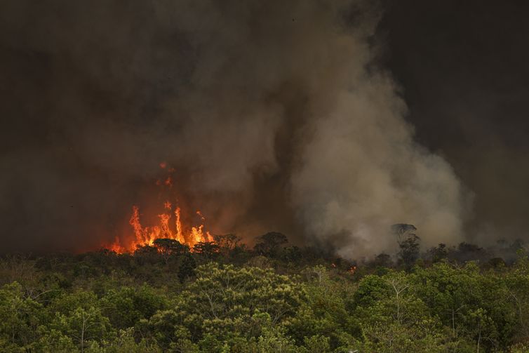 Incêndios podem ter afetado mais de 11 milhões de pessoas no Brasil