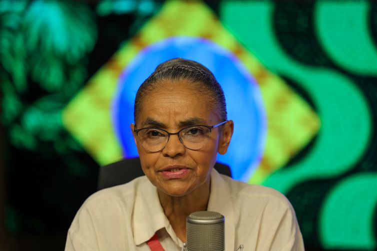 Ministra defende endurecimento da pena por fogo intencional