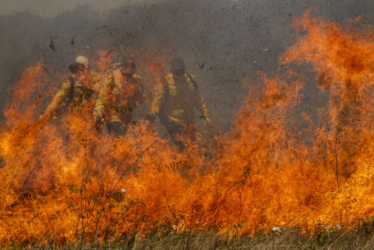 Parque da Cantareira é fechado por causa de incêndio; total chega a 81
