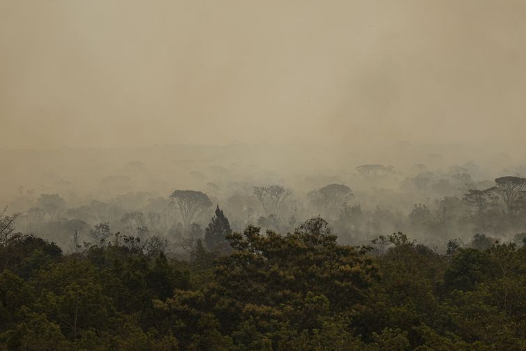 Parque de Brasília: fogo vira subterrâneo mas pode voltar à superfície