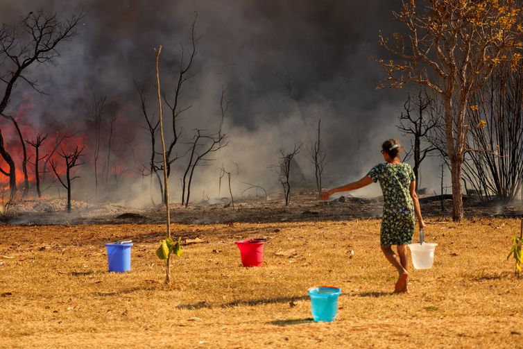 PF abre inquérito para investigar incêndio em Brasília 