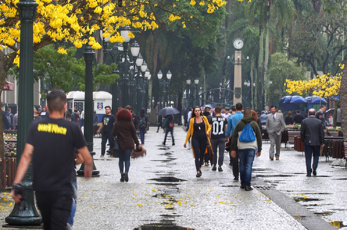 Primavera: Secretaria da Saúde orienta sobre alergias ocasionadas pela nova estação
