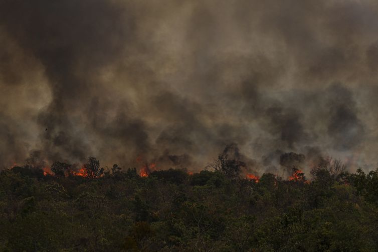 Secretário do MMA vê conotação politica em queimadas na Amazônia