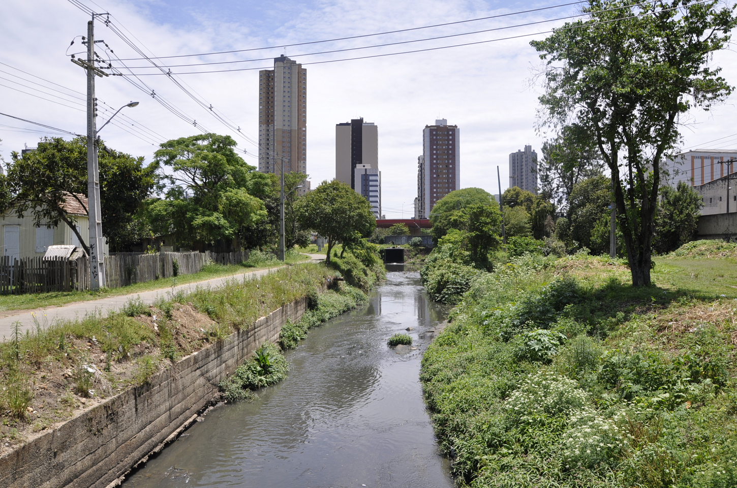 Curitiba: Rio Juvevê Sofre com Poluição e Canalização de Seus Leitos