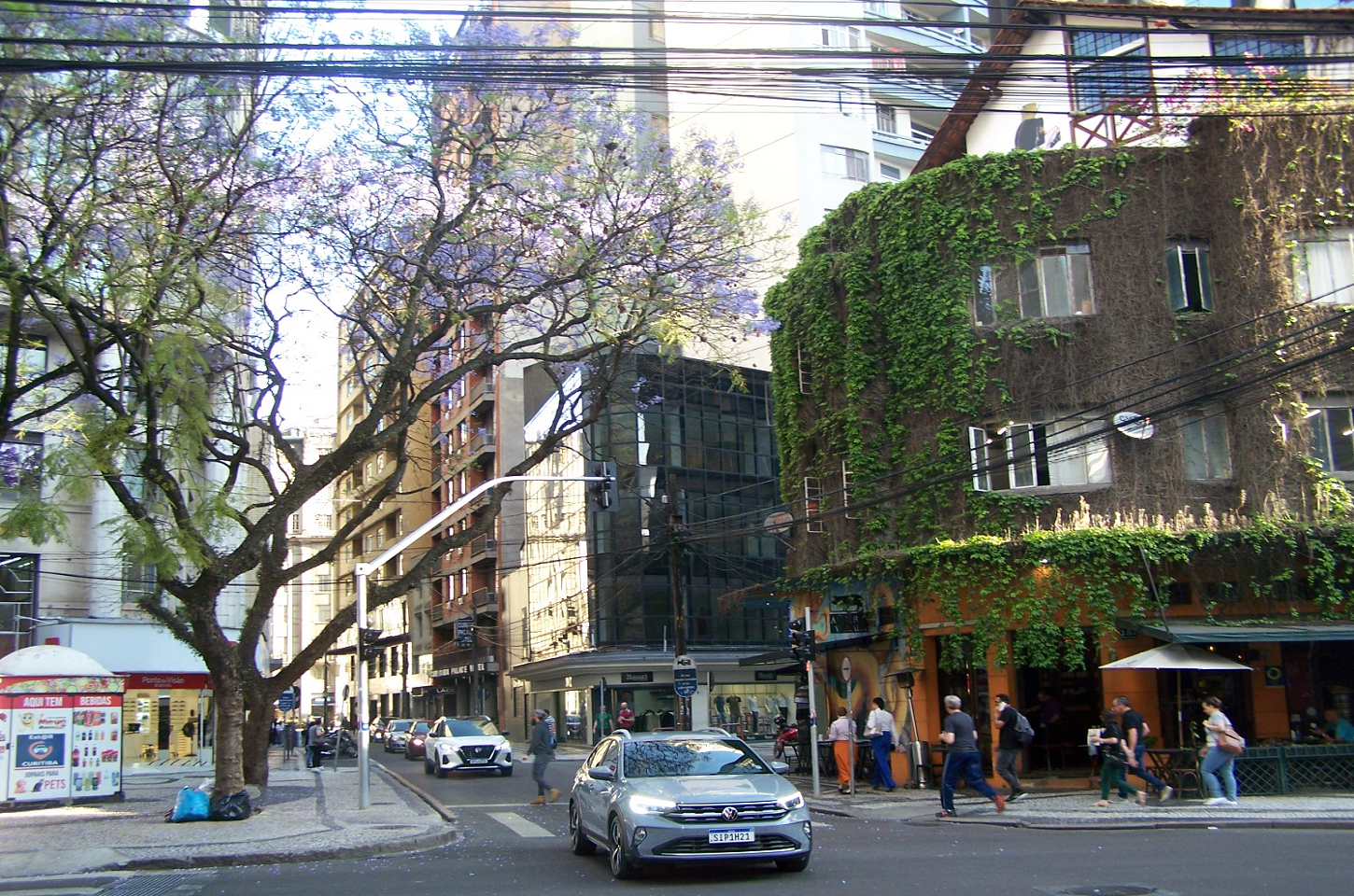 Primavera em Curitiba: As Ruas Mais Floridas e Coloridas da Cidade