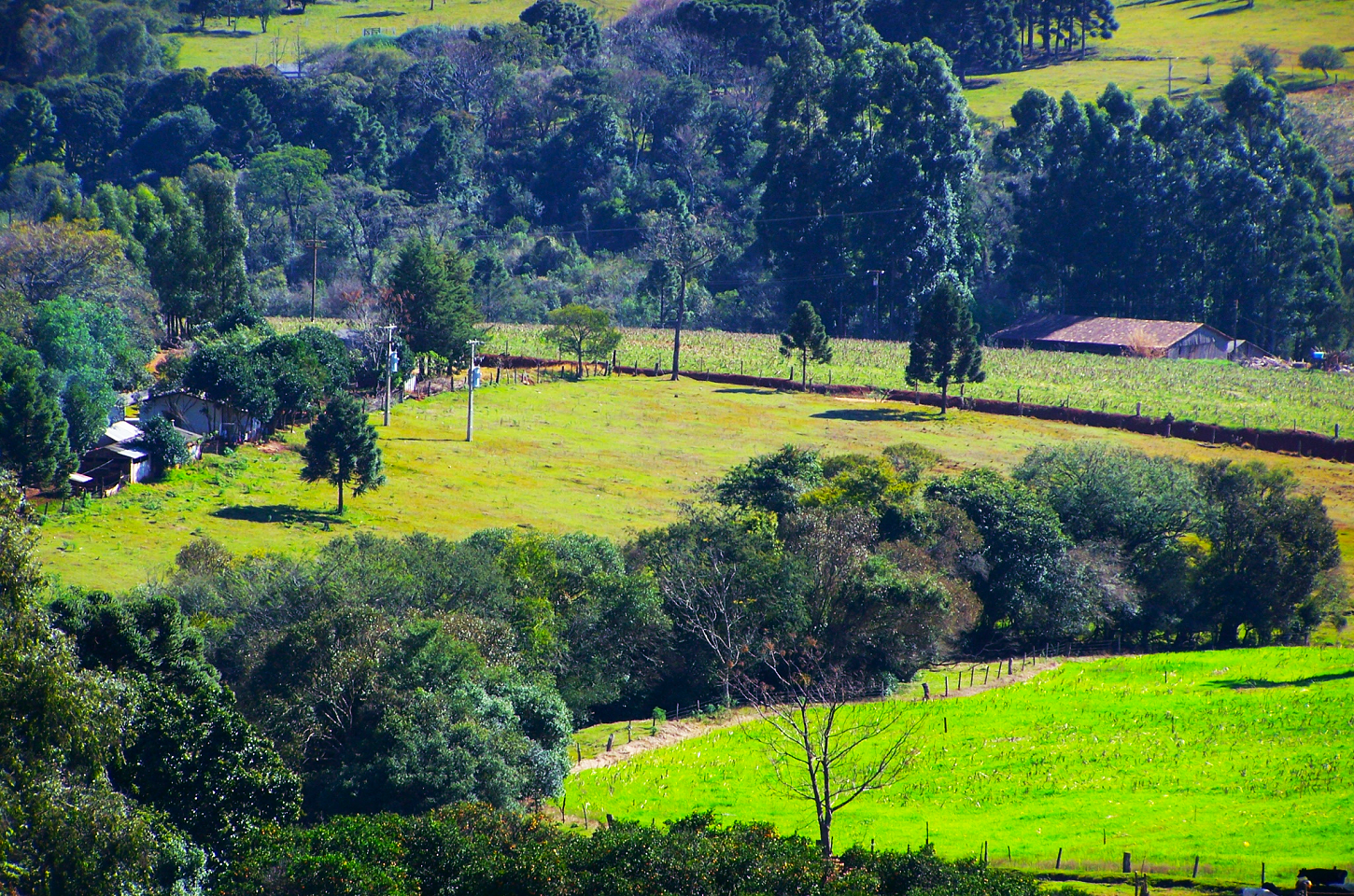 Vida no Campo. Crescente Interesse pelas Viagens ao Interior do País