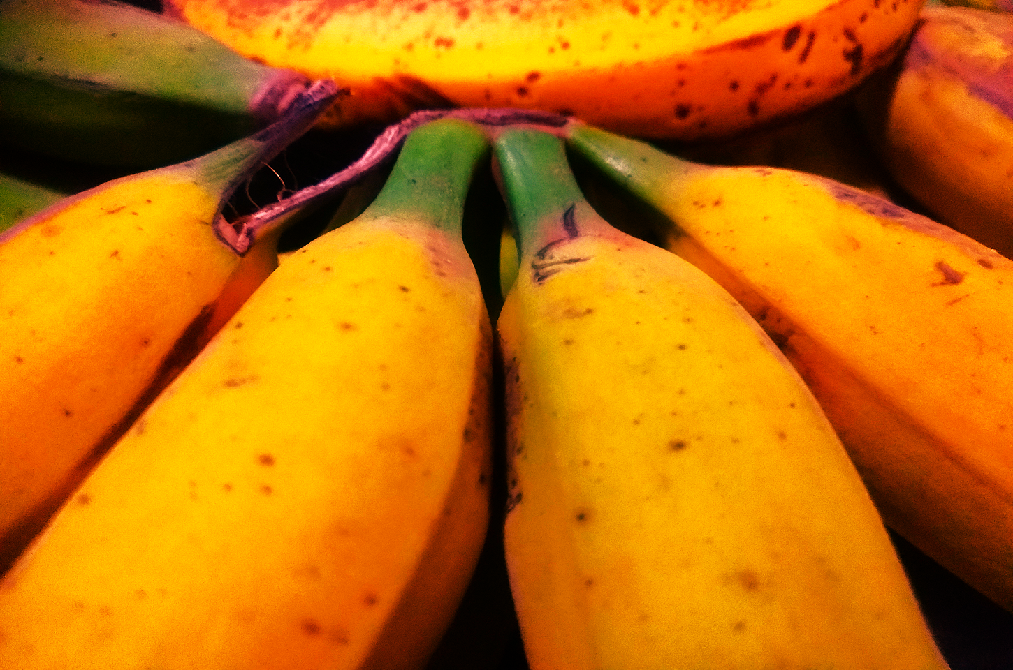 Banana: A Fruta Mais Amada do Brasil