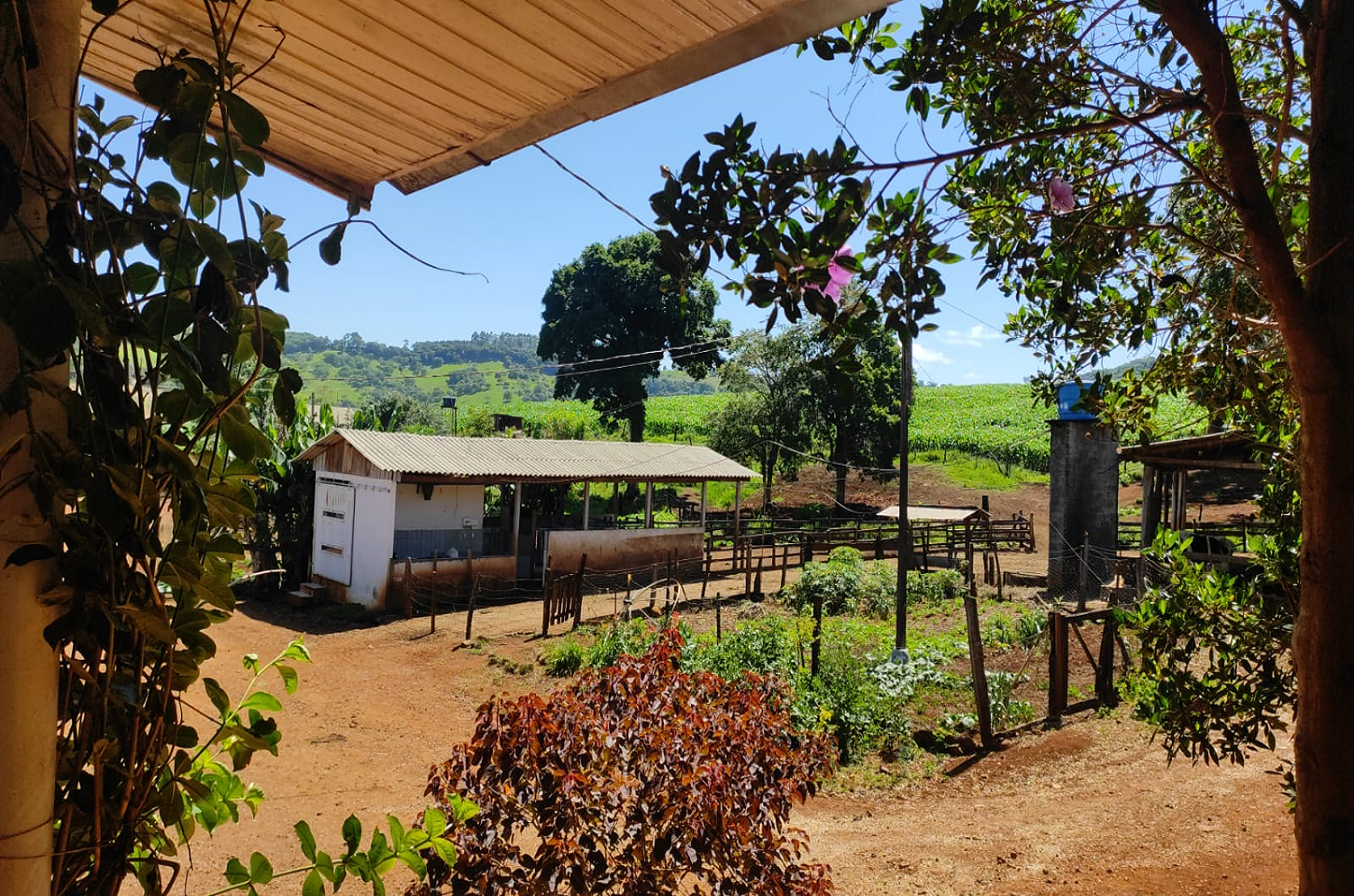Vale a Pena Viver no Campo Apesar do Crescente Aumento da Violência?