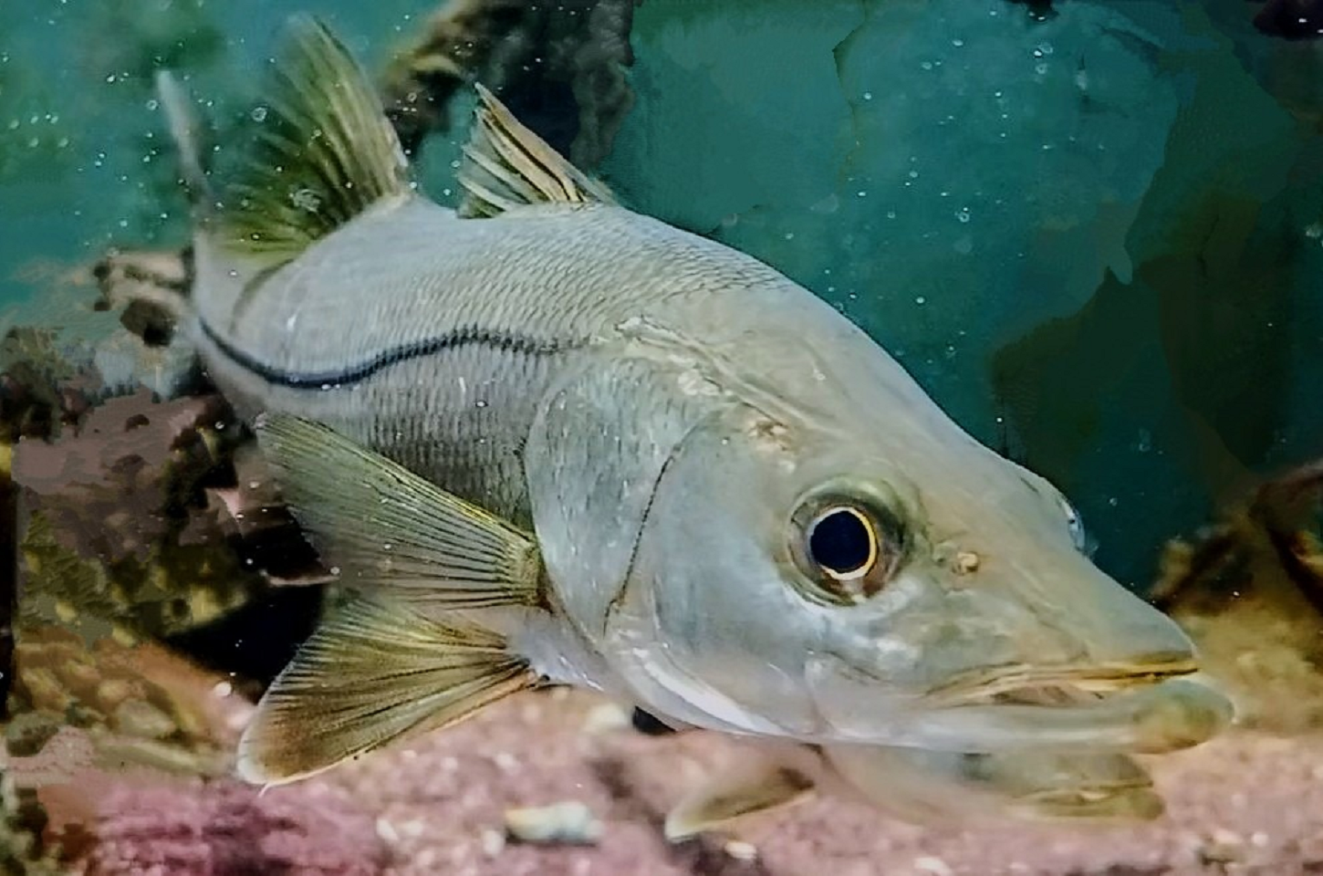 Paraná investe R$ 6,6 milhões em projetos para impulsionar economia do Litoral