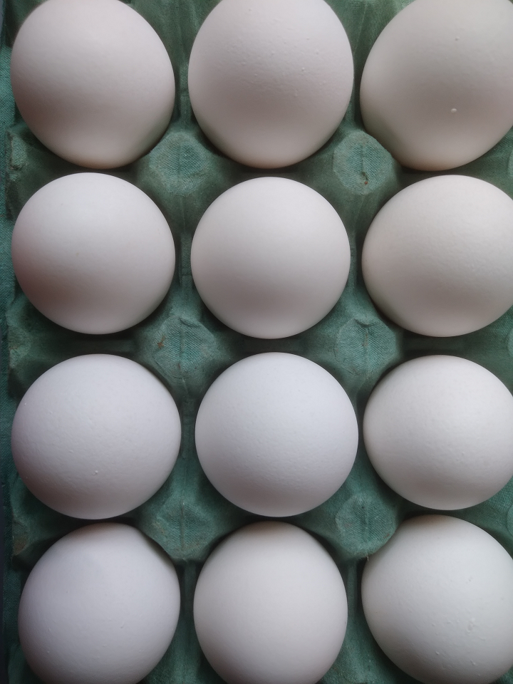 Ovos - Benefícios à Saúde e Consumo Ideal