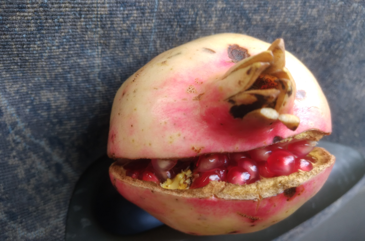 Romã. Conheça os inúmeros benefícios do chá de Romã