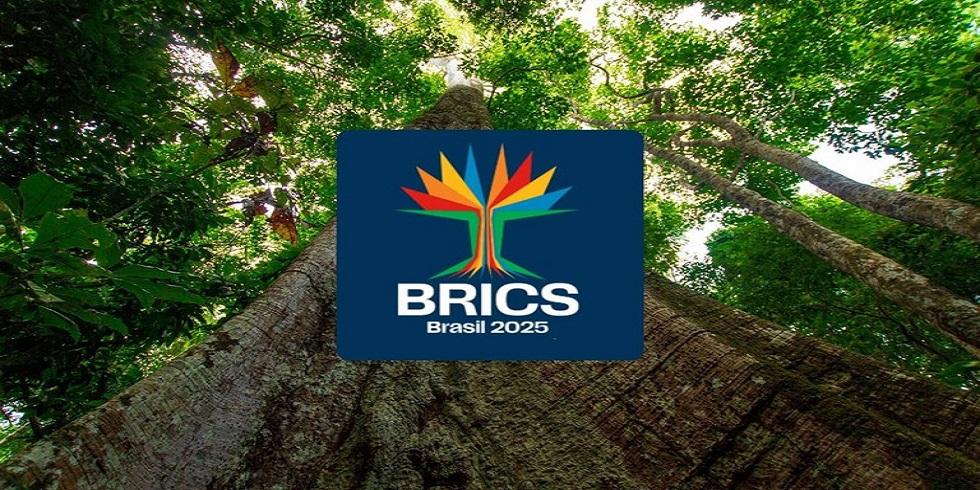Cúpula do BRICS será no Rio de Janeiro, em 6 e 7 de julho