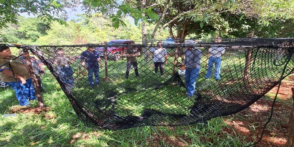 IAT começa a instalar armadilhas móveis para captura de javalis em Unidades de Conservação