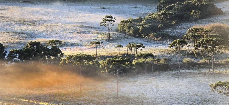Geada. Serra Catarinense registra a temperatura mais baixa do ano