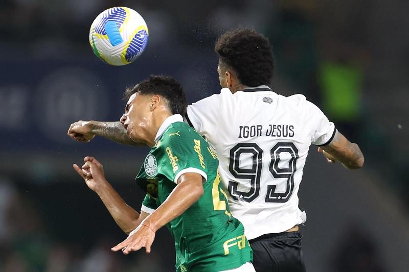 Palmeiras e Botafogo decidem vaga às quartas de final da Copa do Mundo