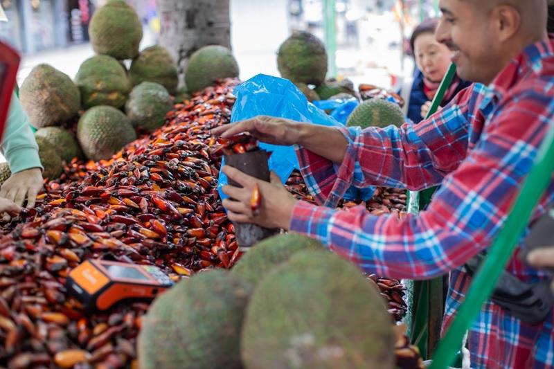 Curitiba. Domingo é dia de pinhão e quentão nas feiras de inverno