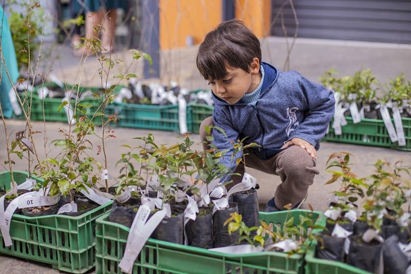 Prefeitura de Curitiba vai entregar 10 mil mudas de árvores para a população