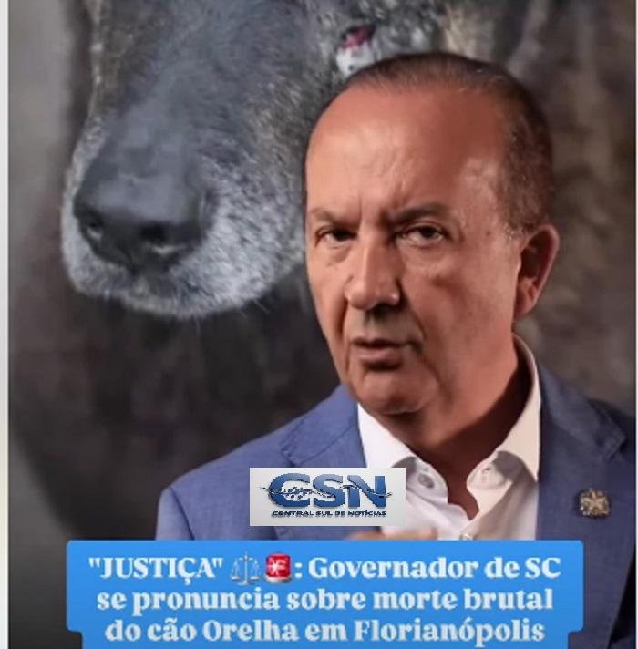 Caso Orelha: governador de SC se manifesta nas redes