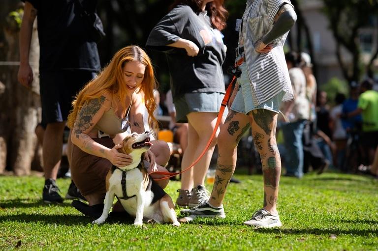 Curitiba aprova novas regras para condução de cães em público