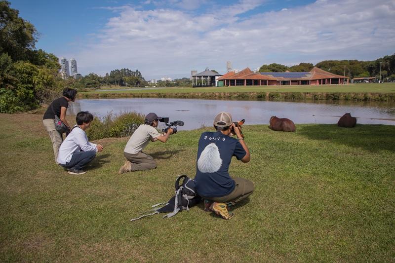 Capivaras de Curitiba viram estrelas internacionais na TV japonesa NHK