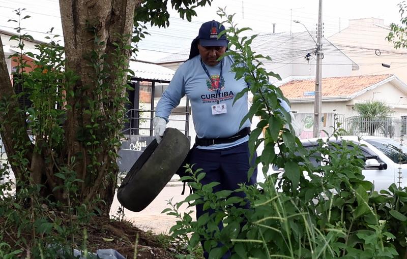 Dengue. Curitiba apresenta redução de casos