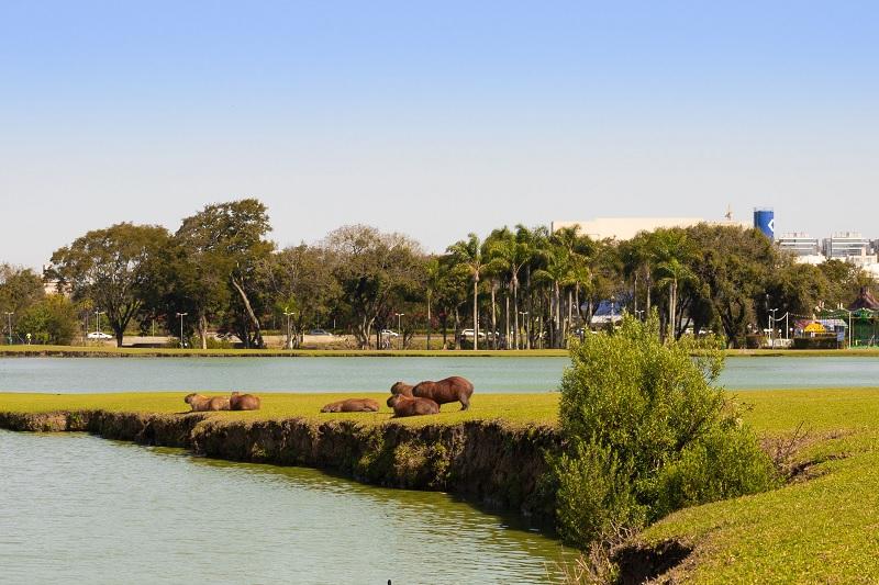 Paraná. Abril terá chuva abaixo e temperatura acima da média