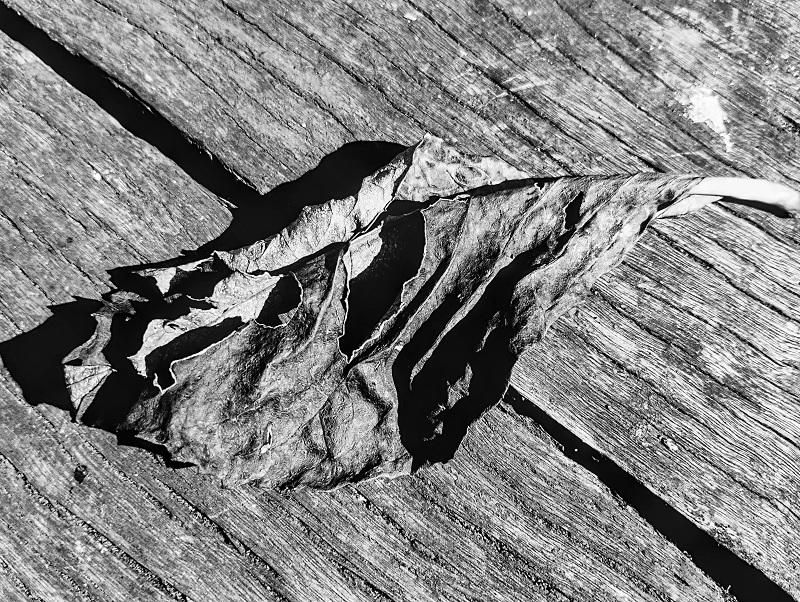 Santuário - Linha Divisória